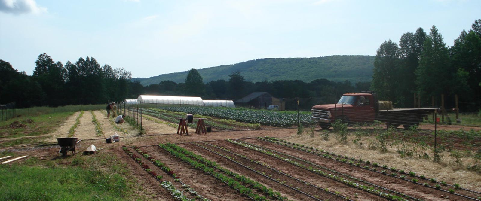 Twin Springs Farm photo 2